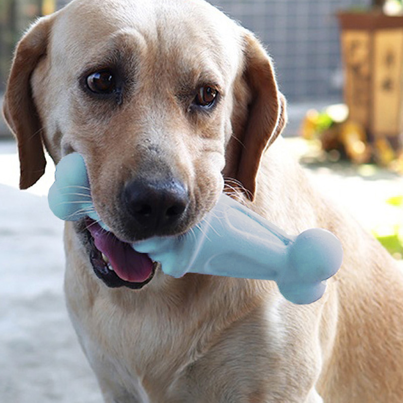 dog with ice cream cone shaped rubber toy