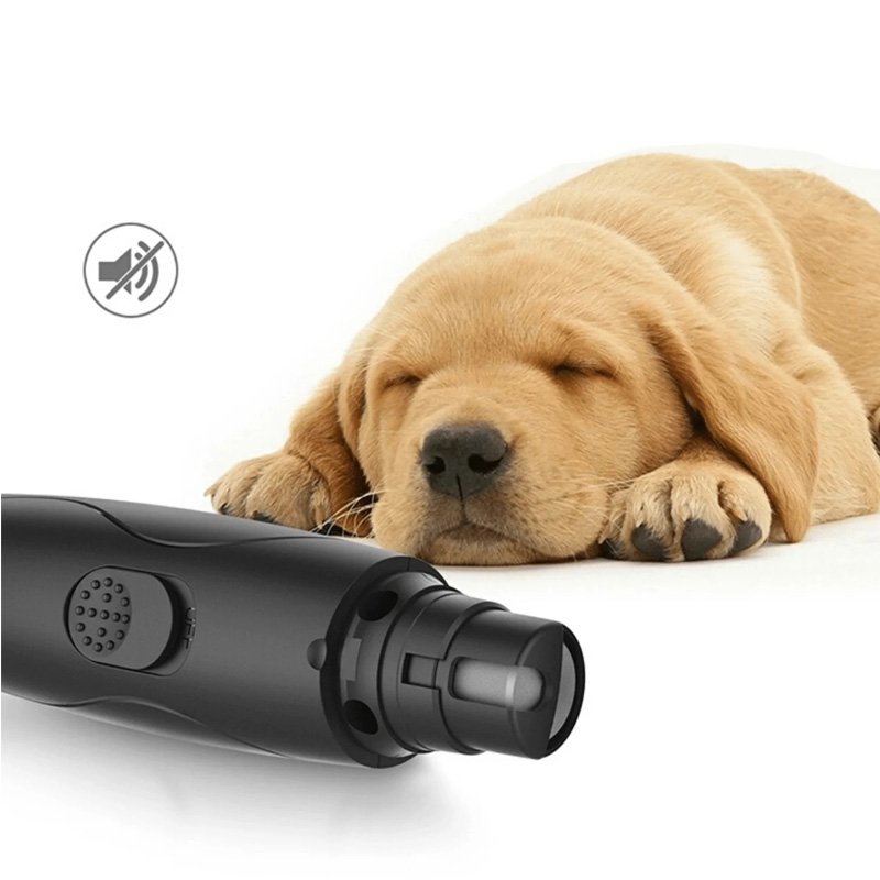 4. ow noise and low vibration levels won’t disturb a sleeping pet