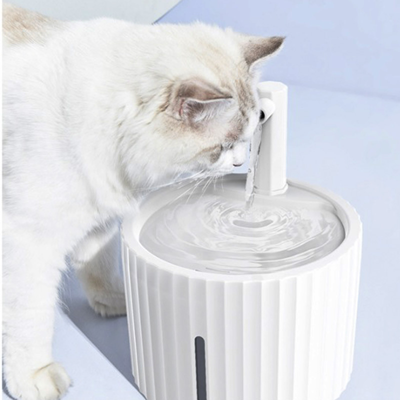 6. The Cat can drink from the spout or the tray