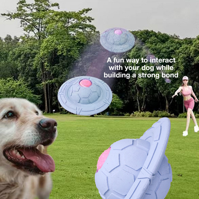 7. Frisbee chew toy for fun play