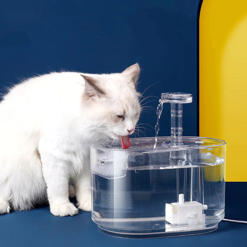 9. clean healthy water for healthy pets