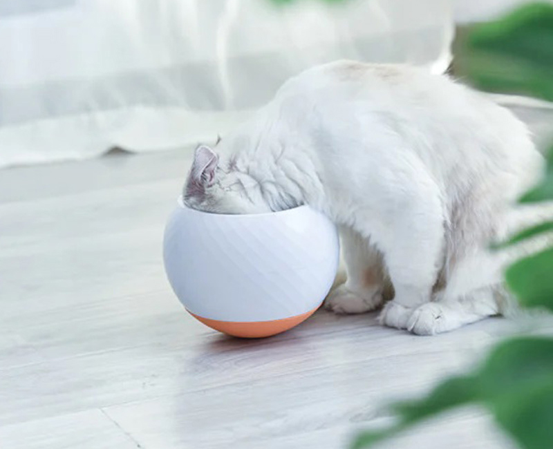 Slow food wobbler bowl  for cats