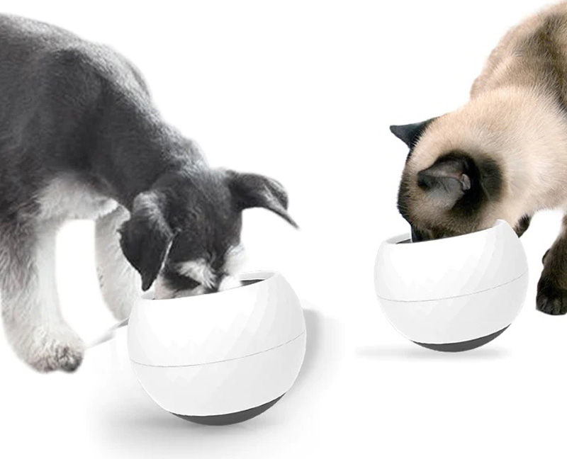 Wobbler bowl for cats and dogs